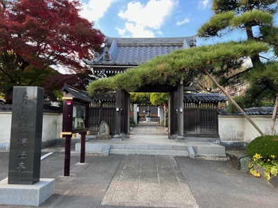 魅力写真
